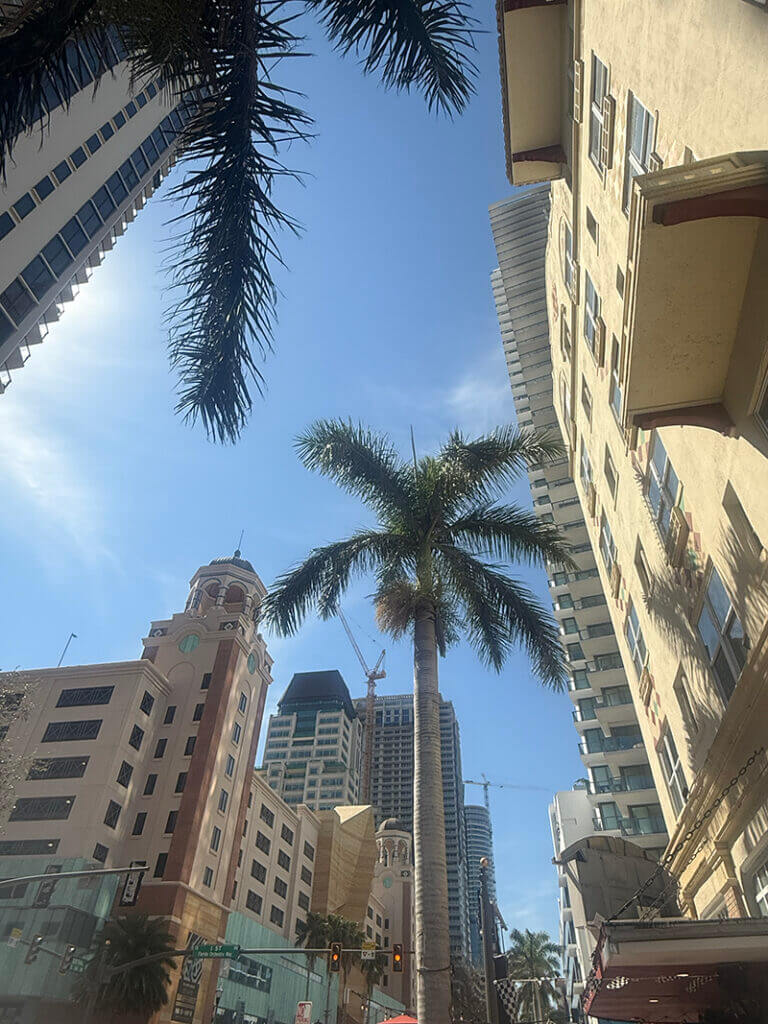 Tall palm trees and high-rise commercial real estate under a blue sky in a cityscape, with sunlight casting shadows on the structures.